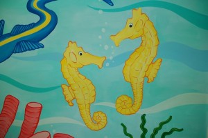 Close-up of seahorses